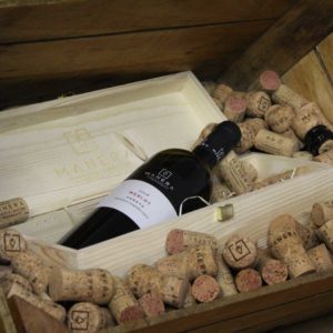 merlot-igt-vino-rosso-vitivinicola-manera-castelfranco-veneto